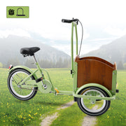 Multi-Purpose Children & Ladies Tricycle