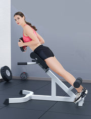Exercise Bench Supine Adjustable Back Roman Chair Extension