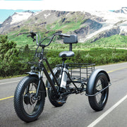Electric Snow Tricycle 3 Wheel E-Bike Fat Tire 500W 48V 13A