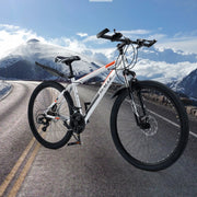 Silver 26 inch wheels 27 speed double disc brake mountain bike
